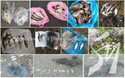 ������������ ����������� �������� 220 �� ��������� ������  ���� �� 3 643 ����� ����